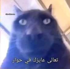 غازي🇵🇸 tweet media