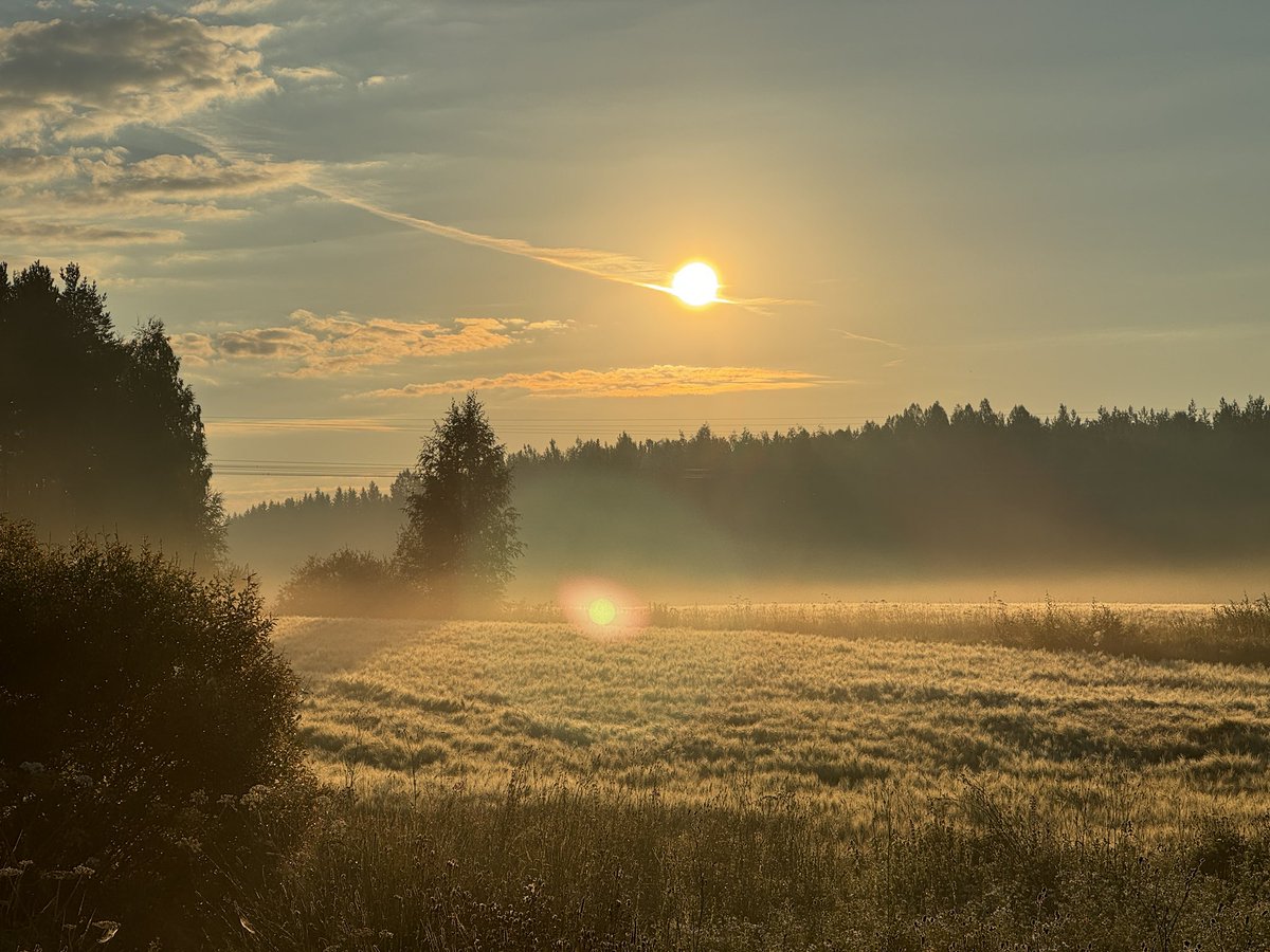 miksa3_'s tweet photo. Kesäaamu Äänekoskella #kesä #auringonnousu https://t.co/V562L45diu