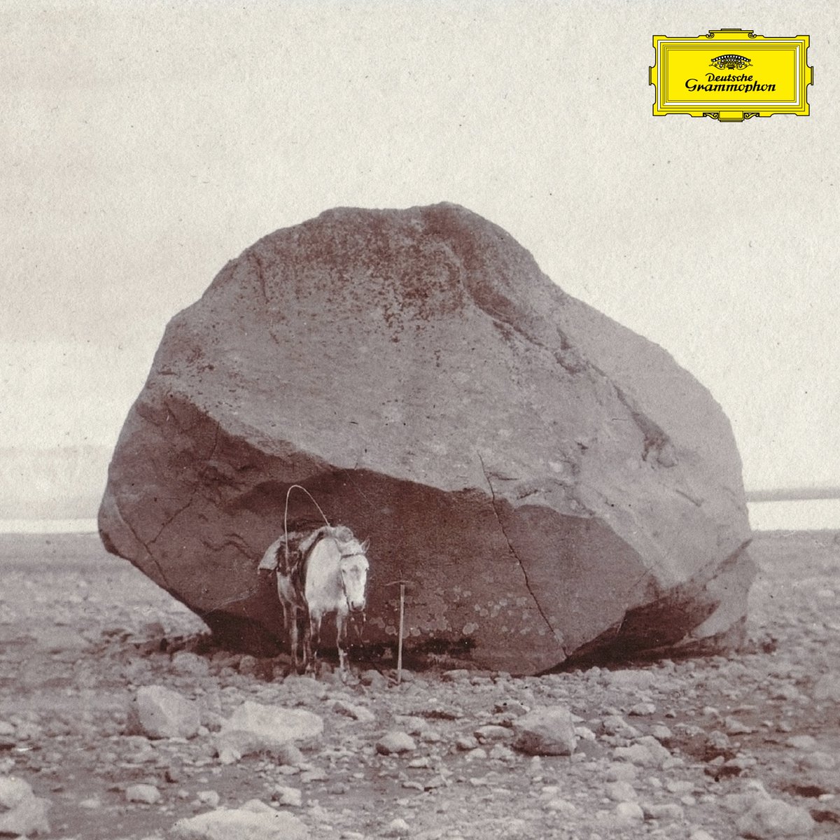 Deutsche Grammophon (DG) (@dgclassics) on Twitter photo Did you know that this picture, the cover of <a href="/snorrihallgrims/">Snorri Hallgrímsson</a>'s upcoming EP "Longer shadows, softer stones", is one of the oldest photos of his home country Iceland? 📸🇮🇸
🎧 → dg.lnk.to/HallgrimssonSh… Did you know that this picture, the cover of <a href="/snorrihallgrims/">Snorri Hallgrímsson</a>'s upcoming EP "Longer shadows, softer stones", is one of the oldest photos of his home country Iceland? 📸🇮🇸
🎧 → dg.lnk.to/HallgrimssonSh…