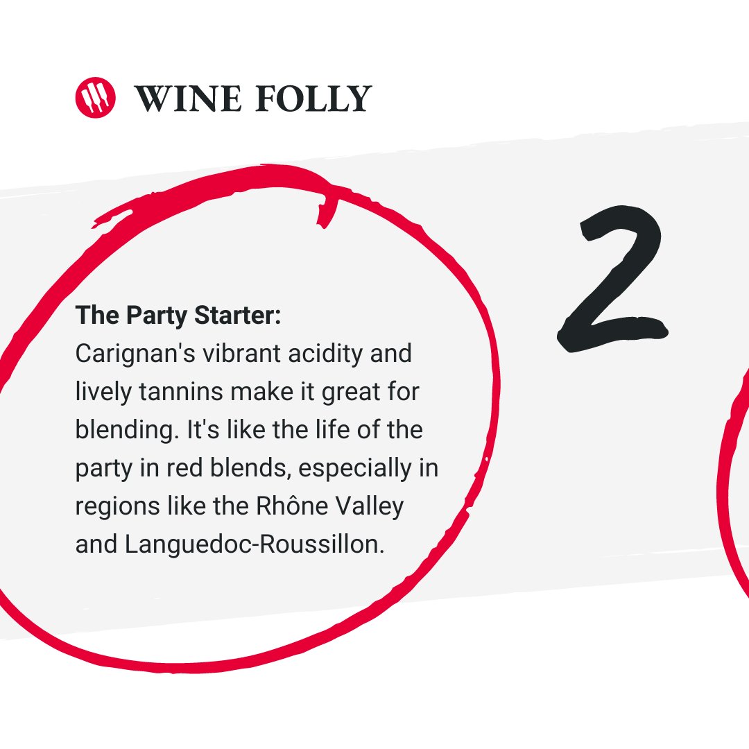 WineFolly's tweet image. 🍇  Bold and fruity, swipe for three things you should know about Carignan. Learn more → winefolly.com/grapes/carigna…

Tell us if you’ve tried Carignan in the comments.

#winegrape #wine