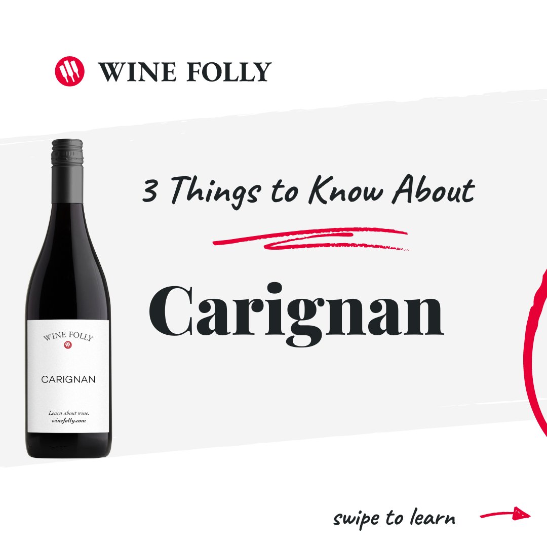 WineFolly's tweet image. 🍇  Bold and fruity, swipe for three things you should know about Carignan. Learn more → winefolly.com/grapes/carigna…

Tell us if you’ve tried Carignan in the comments.

#winegrape #wine
