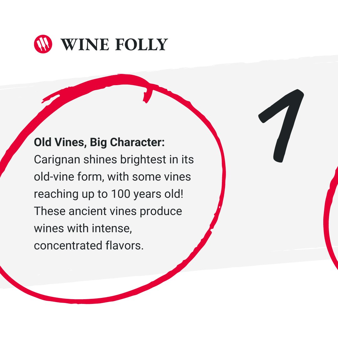 WineFolly's tweet image. 🍇  Bold and fruity, swipe for three things you should know about Carignan. Learn more → winefolly.com/grapes/carigna…

Tell us if you’ve tried Carignan in the comments.

#winegrape #wine
