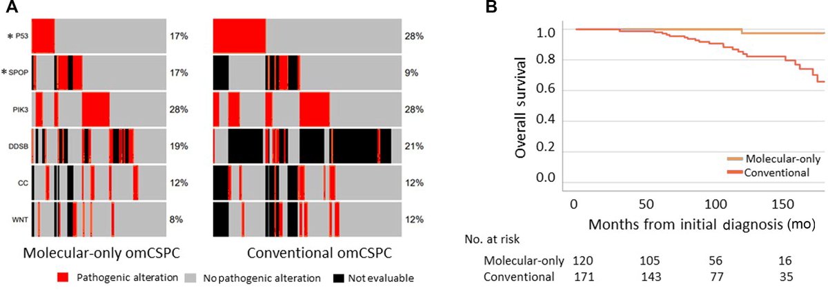 European Urology (@euplatinum) on Twitter photo Clincal and Genomic Differences Between Advanced Molecular Imaging-detected and Conventional Imaging-detected Metachronous Oligometastatic Castration-sensitive Prostate Cancer by Philip Sutera et al
Full article: europeanurology.com/article/S0302-…
#MedTwitter #UroSoMe #PCa #ProstateCancer Clincal and Genomic Differences Between Advanced Molecular Imaging-detected and Conventional Imaging-detected Metachronous Oligometastatic Castration-sensitive Prostate Cancer by Philip Sutera et al
Full article: europeanurology.com/article/S0302-…
#MedTwitter #UroSoMe #PCa #ProstateCancer