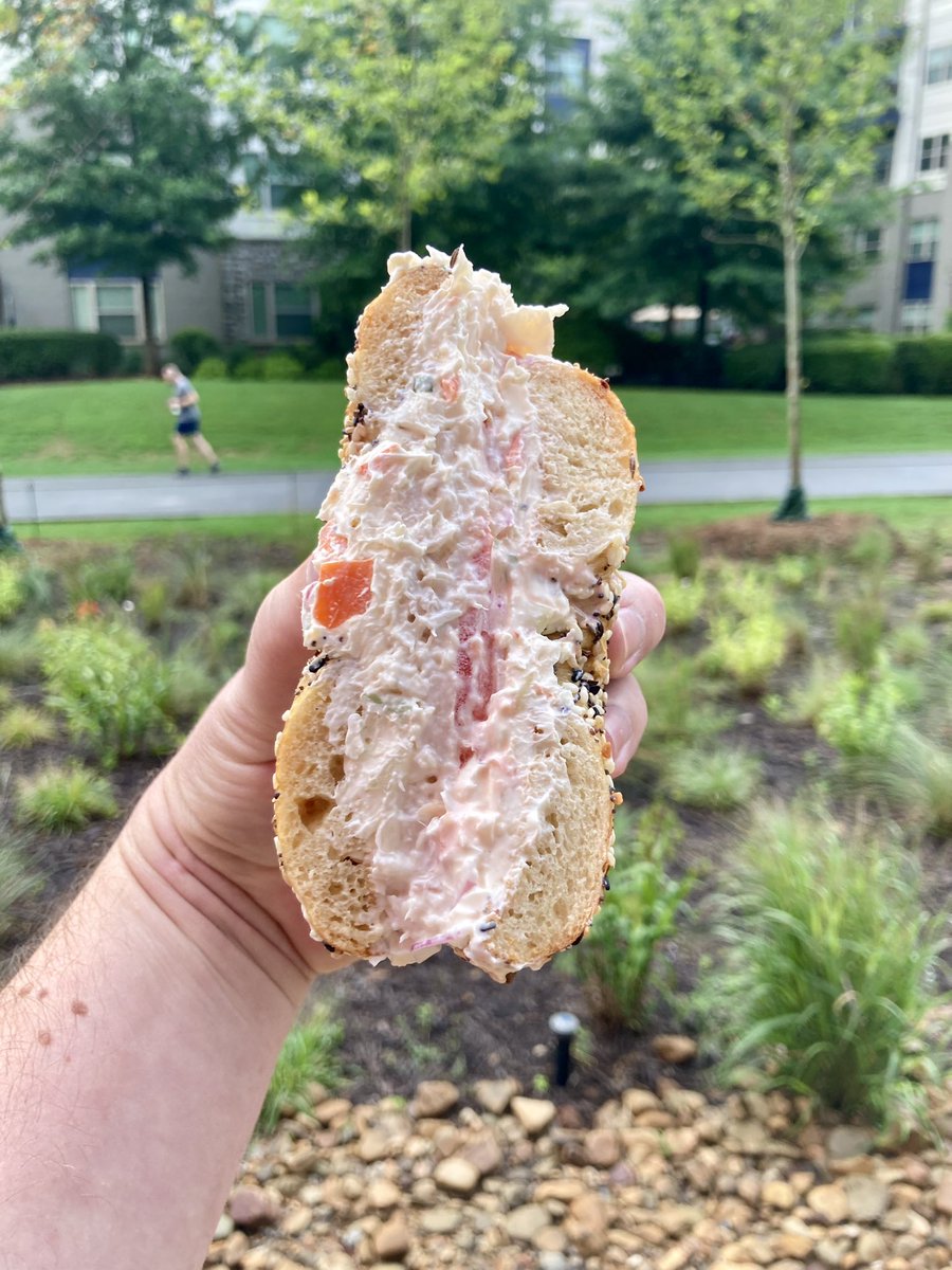 @austinlouisray.bsky.social tweet media