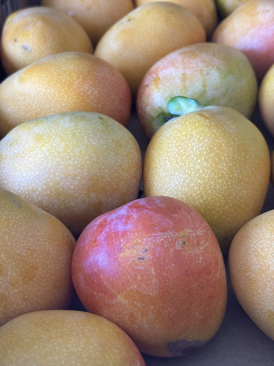 I don’t know what to do with all these mangoes I just bought so I think I’m just gonna eat them 😄