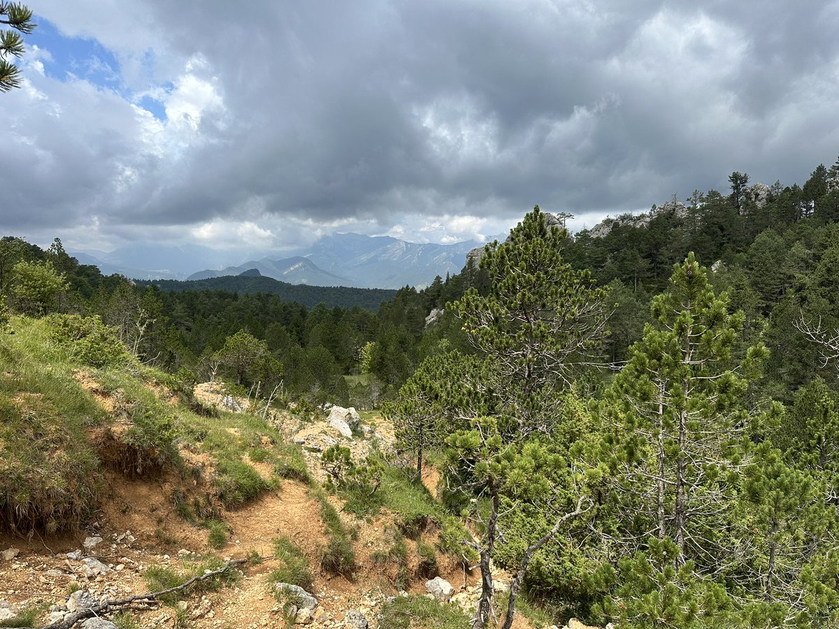 BrioLi_PPCC tweet media