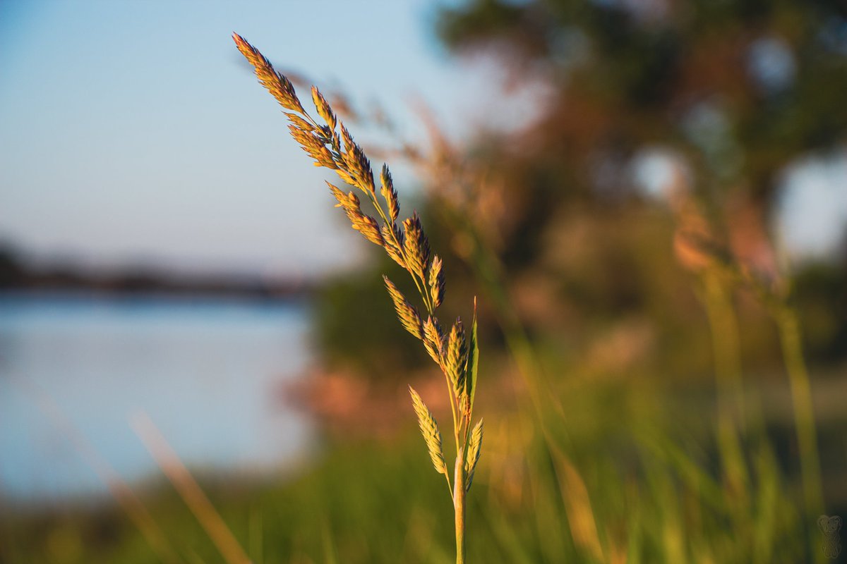 Luchtaine tweet media