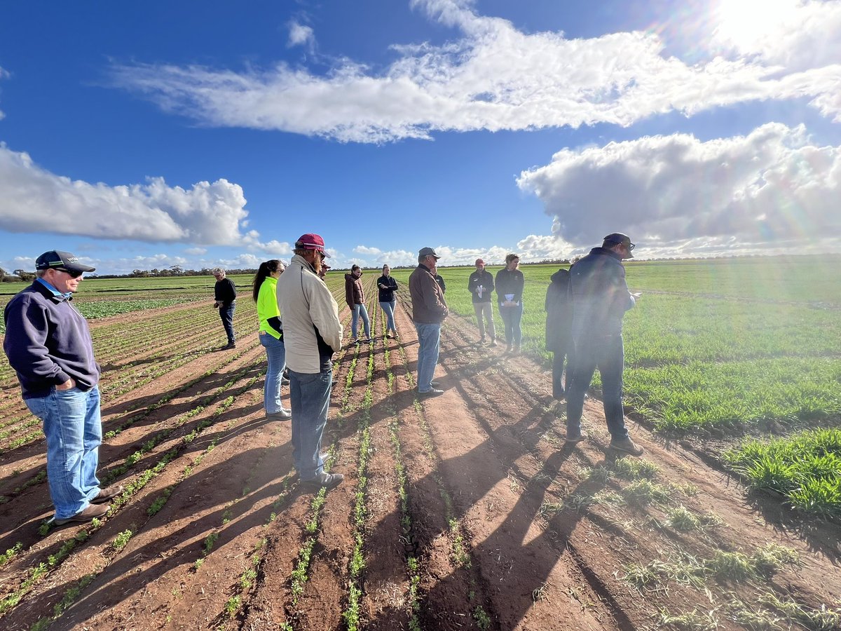 gentry_jayne's tweet photo. Day 3 #GRDCStudyTour visit to @BCG_Birchip. Seriously impressive setup, staff, equipment and research.  The Qlders are seriously motivated to see what they can begin when they get home. Excited to be working together #RiskWise @theGRDC @DAFQld @1980BenTaylor @jakeonfarm https://t.co/Rjt1wE2cma