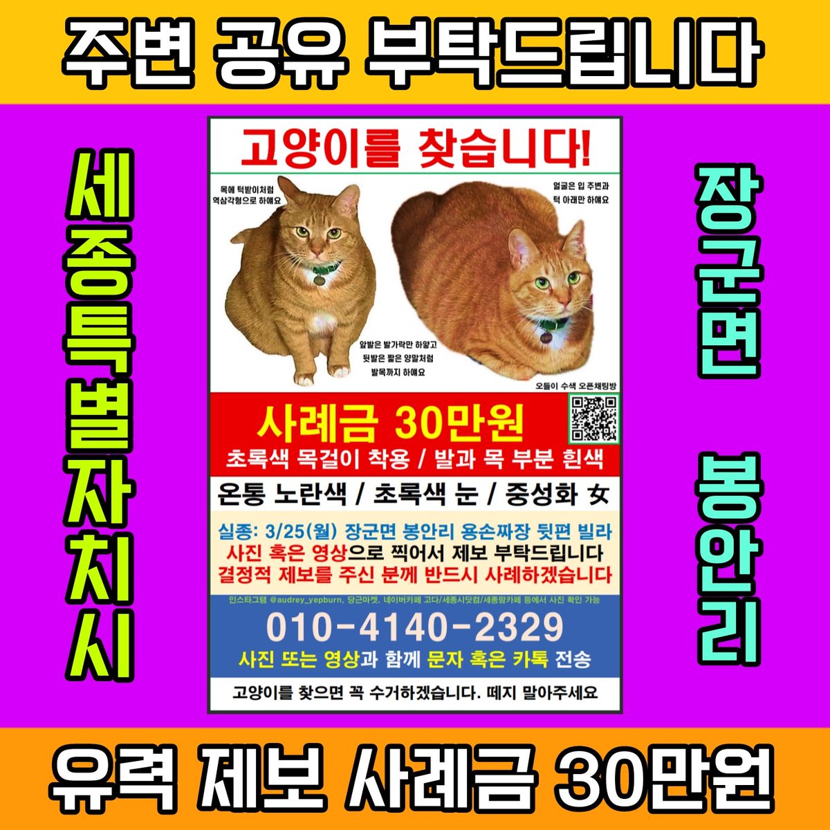 <a href="/grace_happydog/">지해피독 유실동물 구조지원 단체</a> 안녕하세요, 세종에서 오들이를 잃어버려 찾고 있는 집사입니다🐈

실종 123일이 되도록 제보는 많았지만 전부 오들이가 아니었고,
직접 목격한 적도 없는 만큼 타지로 이동했을 가능성이 있습니다😂

부디 눈여겨 봐주시고 주변 공유 부탁드립니다🙏🏻

#세종시 #고양이 #강아지 #햄스터 #앵무새 #동물