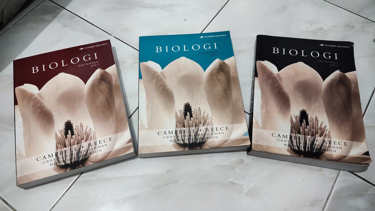 Kureiji Xylite 🧟‍♀️ tweet media