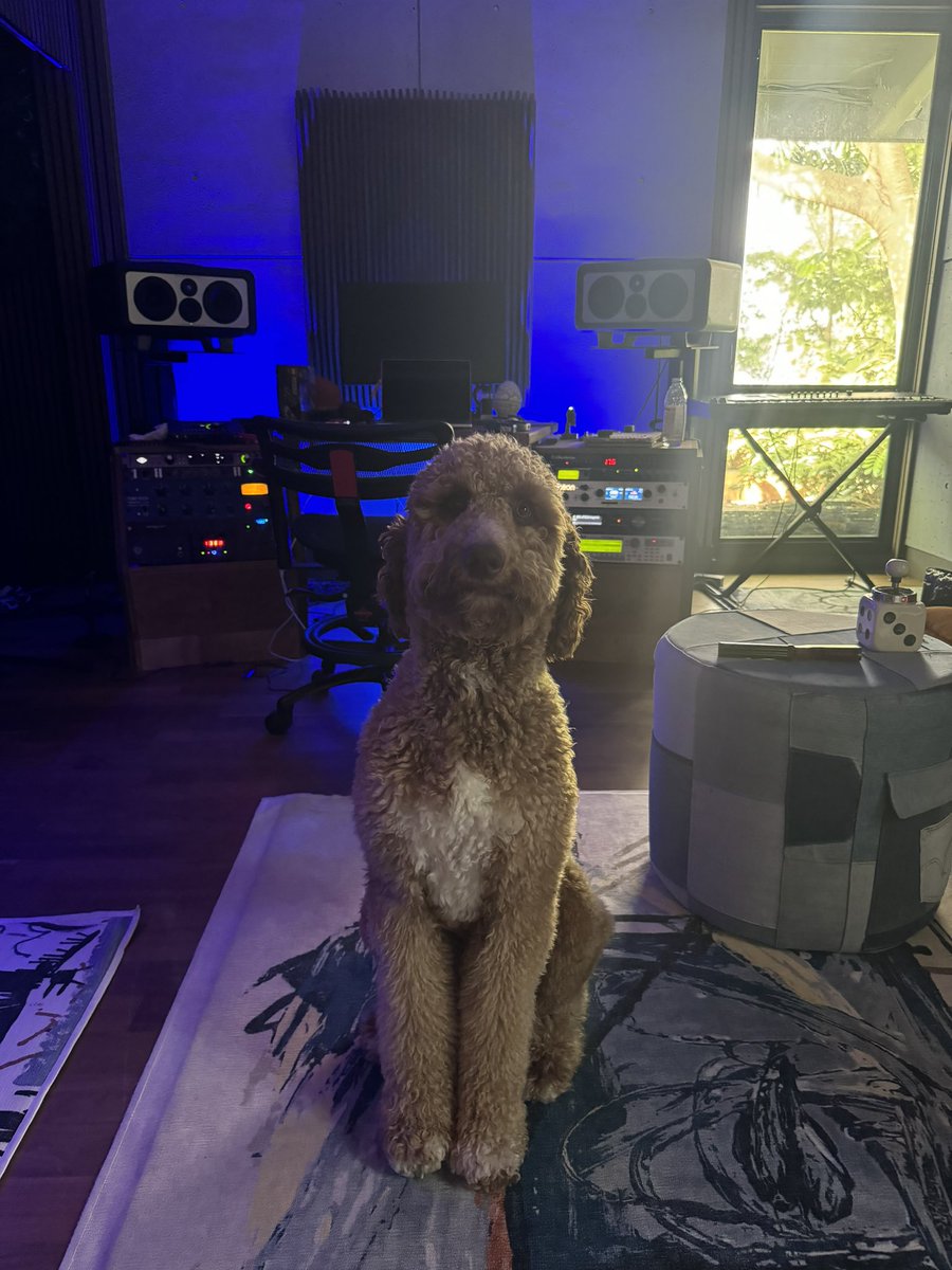 cuando tu digas patron