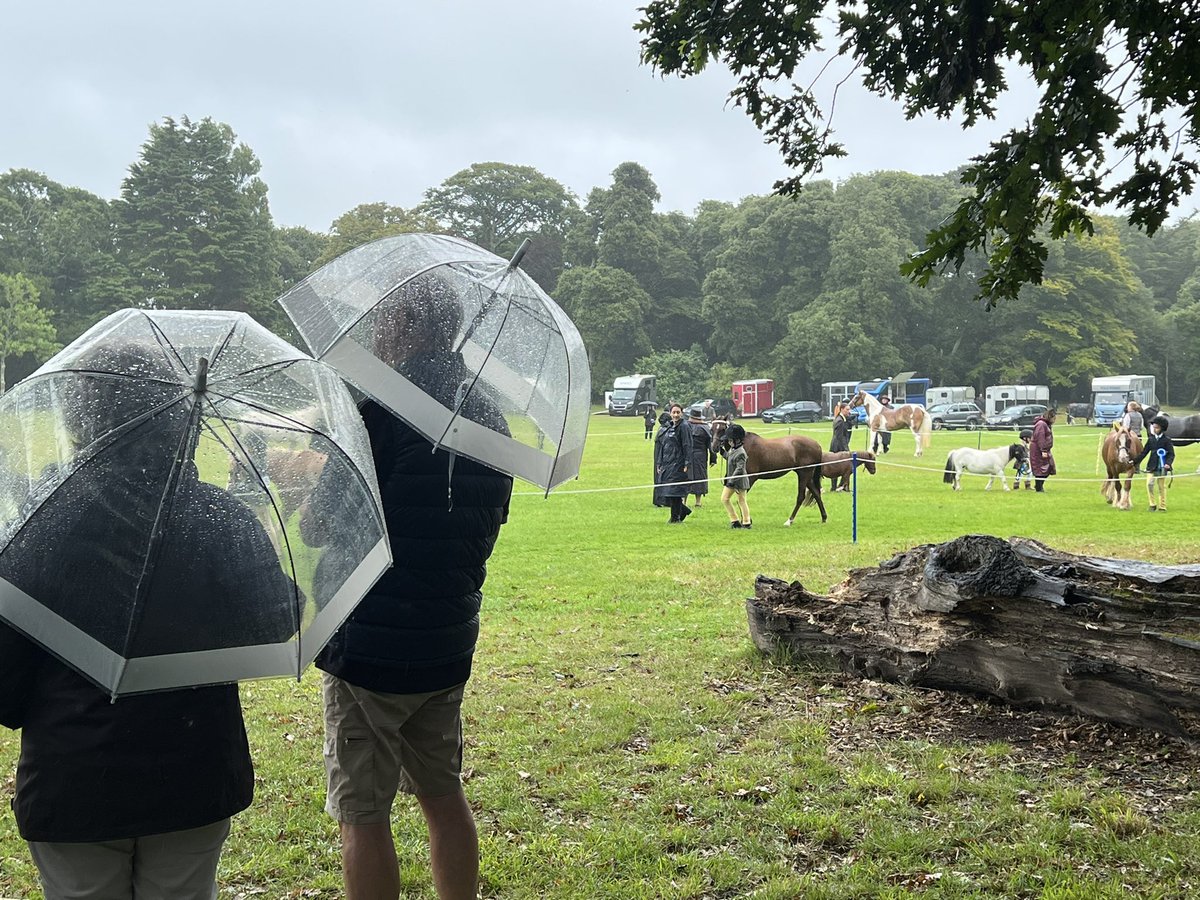 Bit of a soggy one at Saumarez Park today!☔️