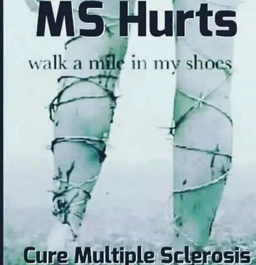 Walker👨‍🦽🇬🇧🇺🇸 (@moorlandtony) on Twitter photo 