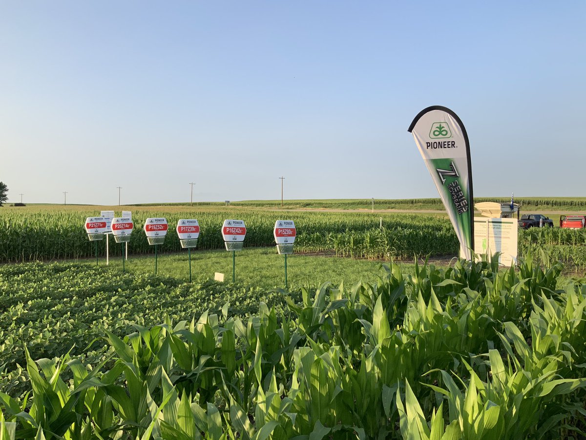seedzeke's tweet photo. 2024 Southern MN  ‘Innovation Tours’ were a huge success! Your local Pioneer Sales Rep can take you on a walking tour at a location near you. OR join us for a virtual tour via the series of videos with my colleagues. Watch this video for a quick preview https://t.co/GMnaEseUdo https://t.co/GnUZMlwDPw