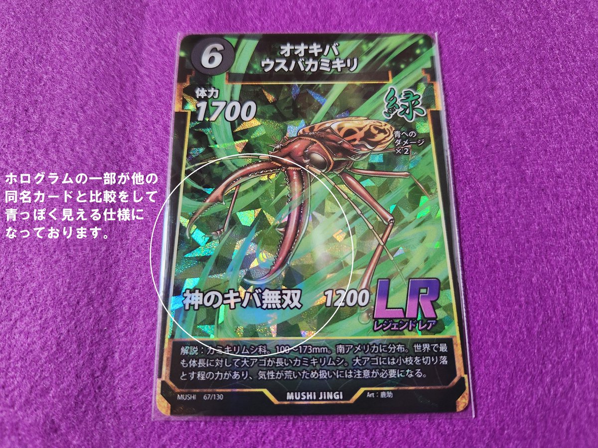 みっくす:新潟県蟲神器公認サポーター on X: みっくす:新潟県蟲神器公認サポーター on X: