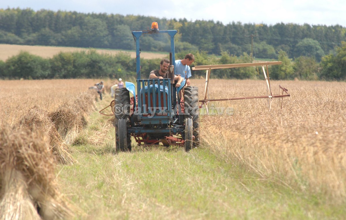 Calyx Archive: OTD 2009 Harvesting the old fashion way on a Wiltshire farm
calyxpix.com/2024/07/25/doi……-doves-farm-2009/
<a href="/SwindonLocal/">Local Studies</a> <a href="/MuseumandArt/">Museum & Art Swindon</a> <a href="/SwindonLibrary/">Swindon Libraries</a> <a href="/jratcliffephoto/">Jon Ratcliffe</a> <a href="/HeritageWSHC/">Heritage@WSHC</a> <a href="/Anjelica1956/">Angela Atkinson</a> <a href="/AldbournArchive/">Aldbourne Archive</a>