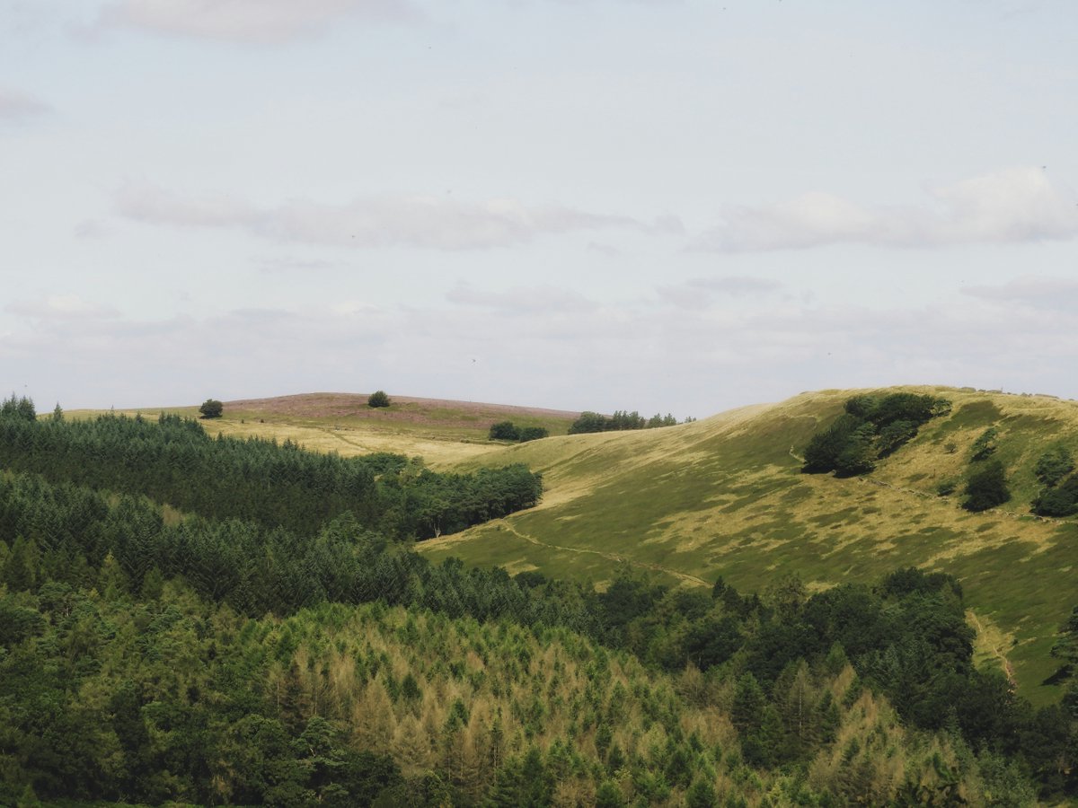 Calling all healthcare staff and volunteers! 🚑

Hospice UK is exploring palliative care in remote and rural communities and we want to hear from you!

Your insights on caring for with life-limiting conditions can help improve end-of-life care.

ow.ly/Cesb50SJZib
