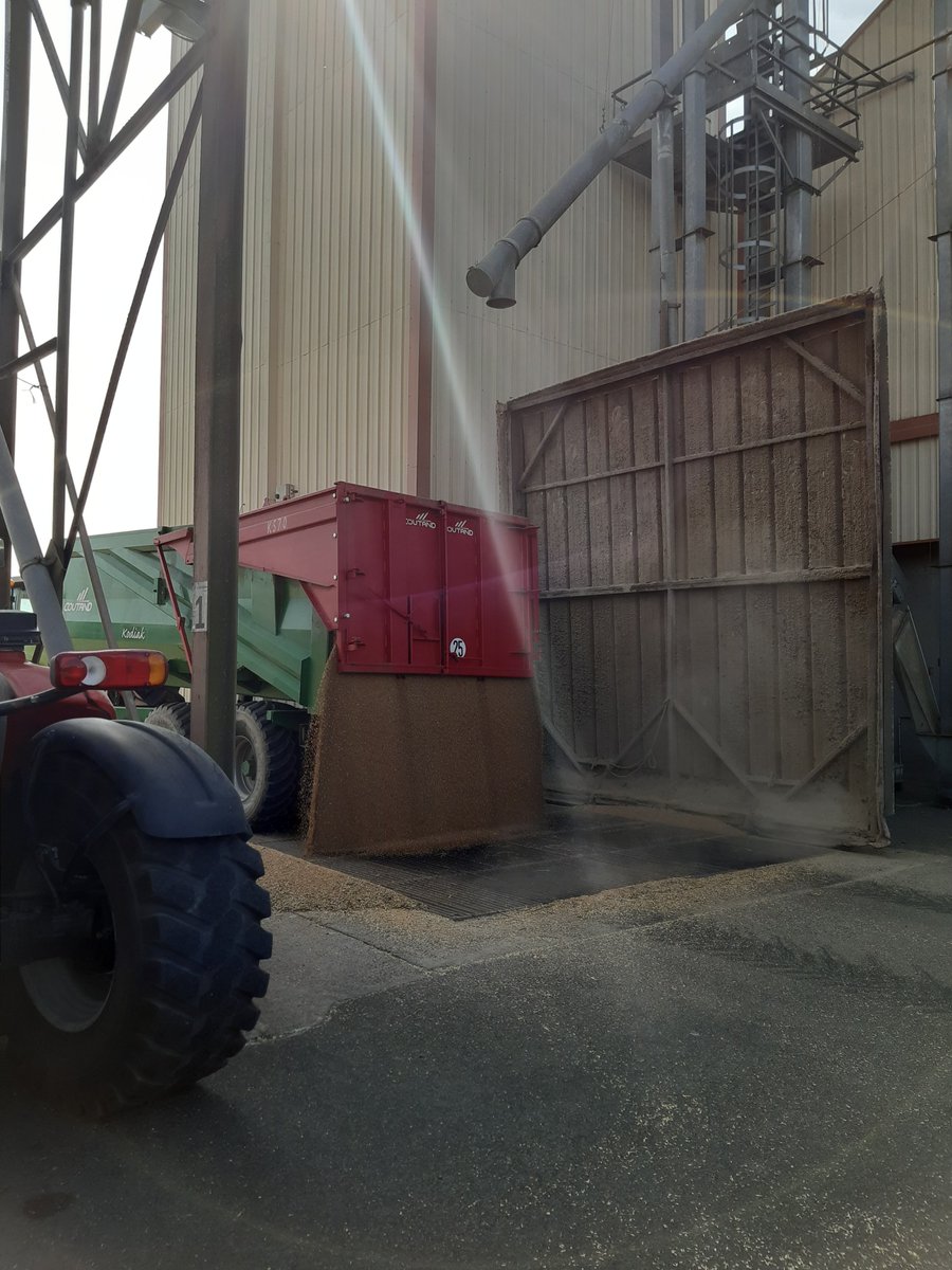 🔴 En direct de la collecte 2024 🌾🚜

#moisson2024 #negoceagricole #agriculture