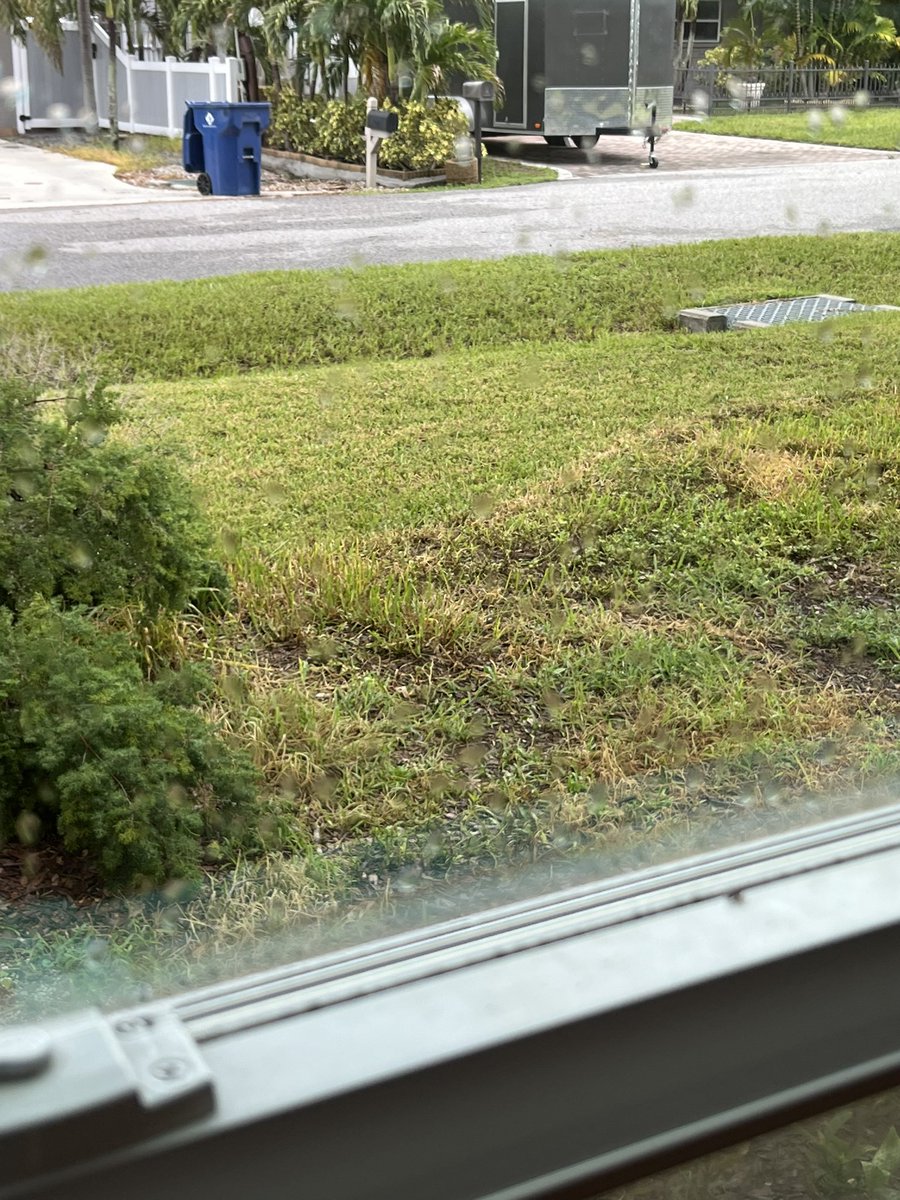 BuzzKnightyear's tweet image. Well here’s a downside of doing this kind of stuff in Florida. Upper 80’s with probably 95% humidity does not make for a good finish on the 2k clear coat I was planning to spray this morning. I’ll wait for a different day that’s a bit sunnier.