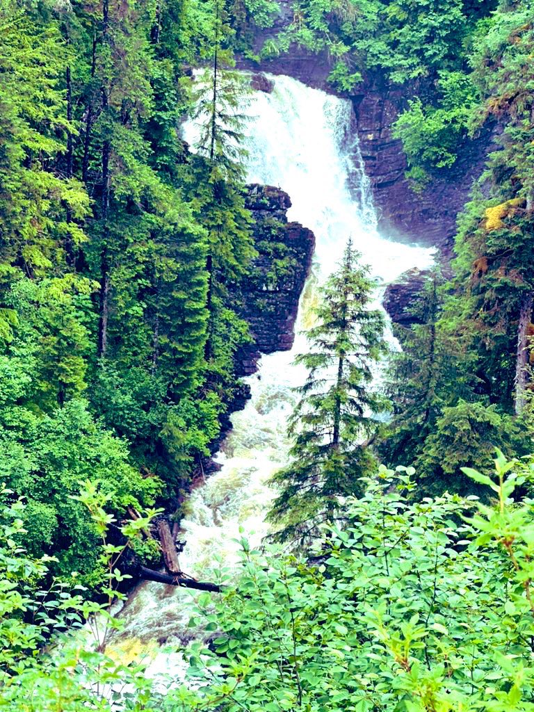 aloha_alaska's tweet image. #UnitedforAmerica 

This makes my heart happy! 🌴♥️🌴😎

🗽⚖️🔔🌎🇺🇸🔥