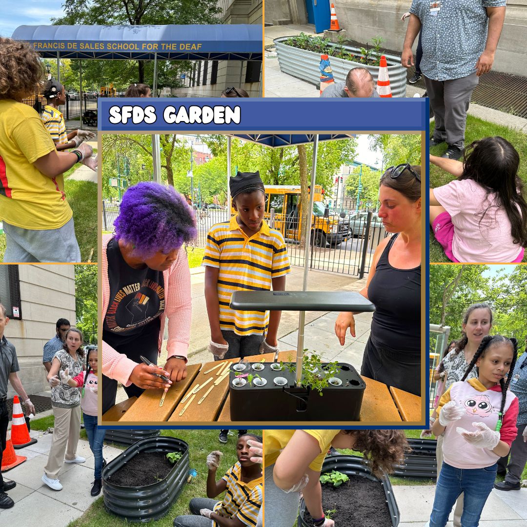 sfdesales's tweet photo. Gardening helps kids grow! 🌱SFDS has a beautiful garden, thanks to our school community. Did you know that gardening helps kids with physical, cognitive, and emotional development while teaching responsibility and teamwork?
#GrowWithSFDS #KidsInTheGarden #SFDS #BrooklynGardens https://t.co/rNBmmNBJZ7
