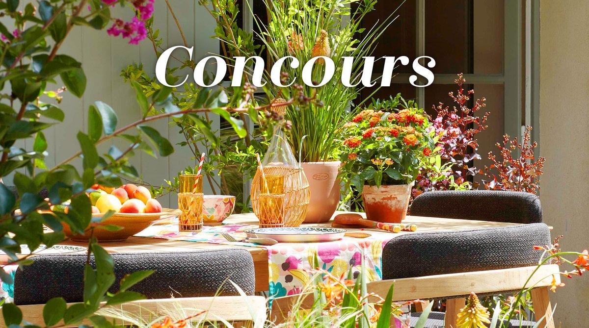 Truffaut tweet media