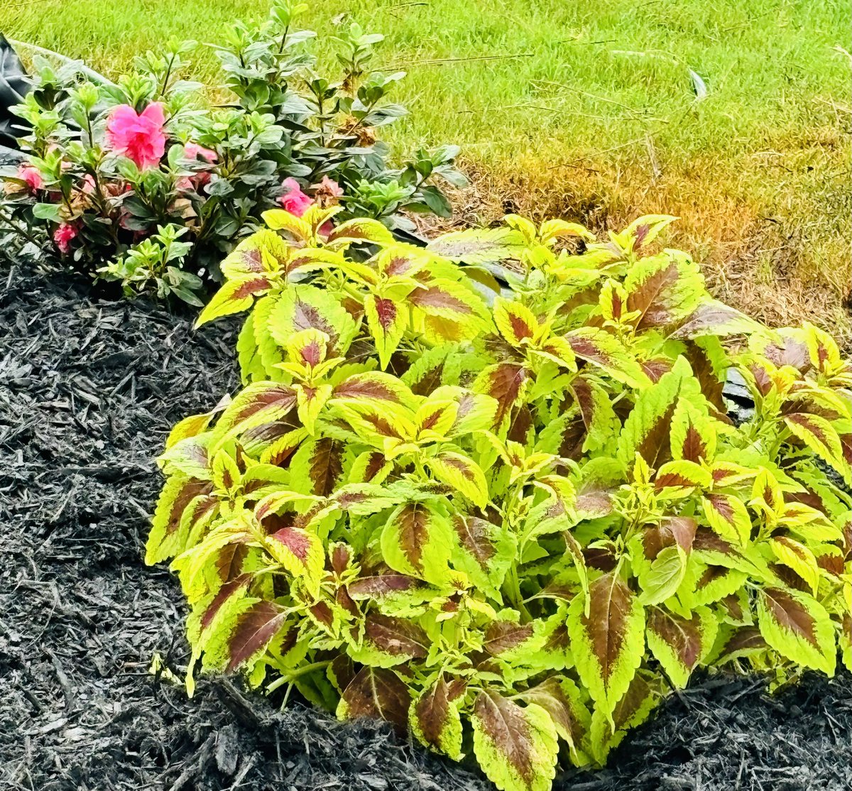 Dr. Apryl Alexander tweet media