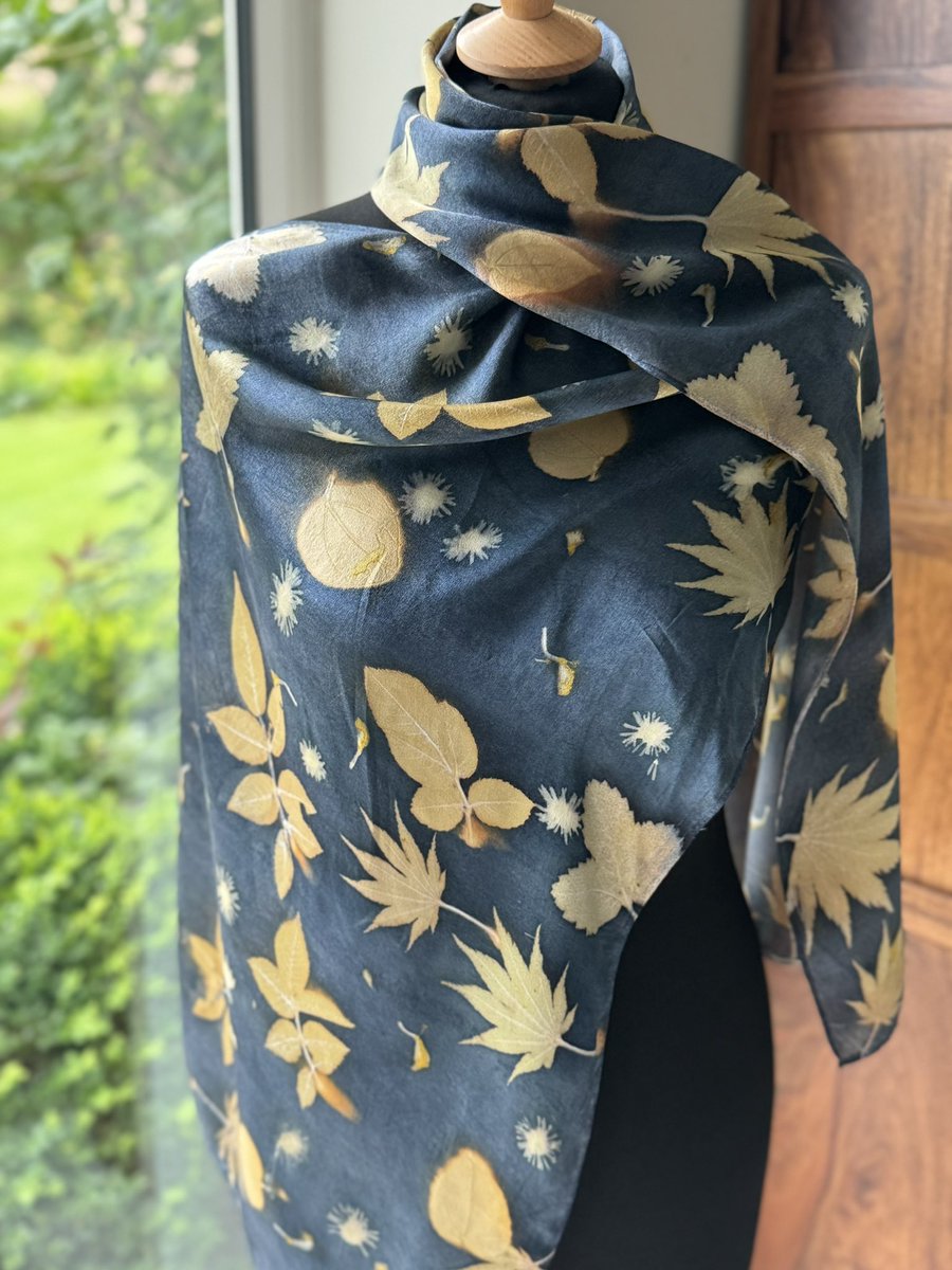 Jane Goodall tweet media