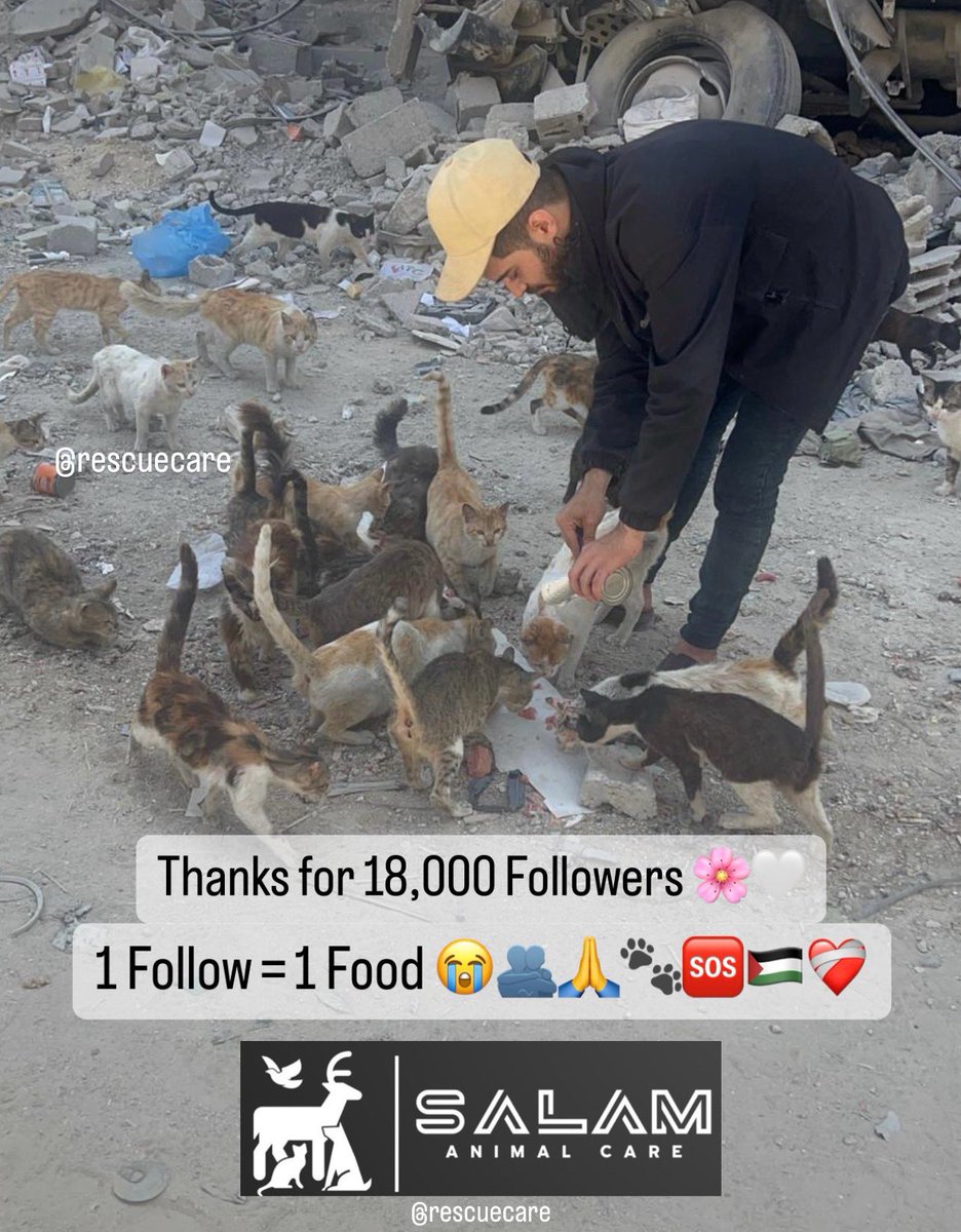 Salam animal care tweet media