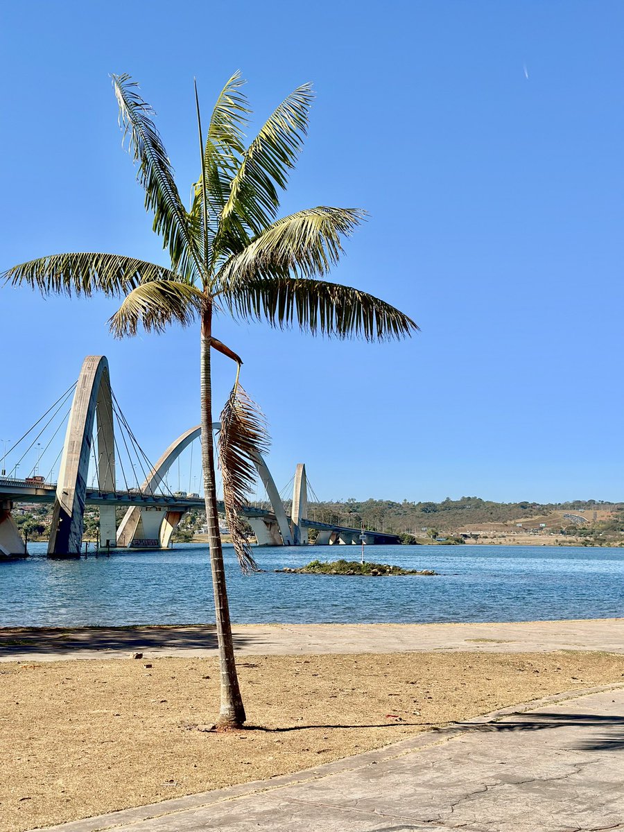 Gm ☀️ $OL praticamente de ALL IN nessa merda! 
#vamoooo 🌞