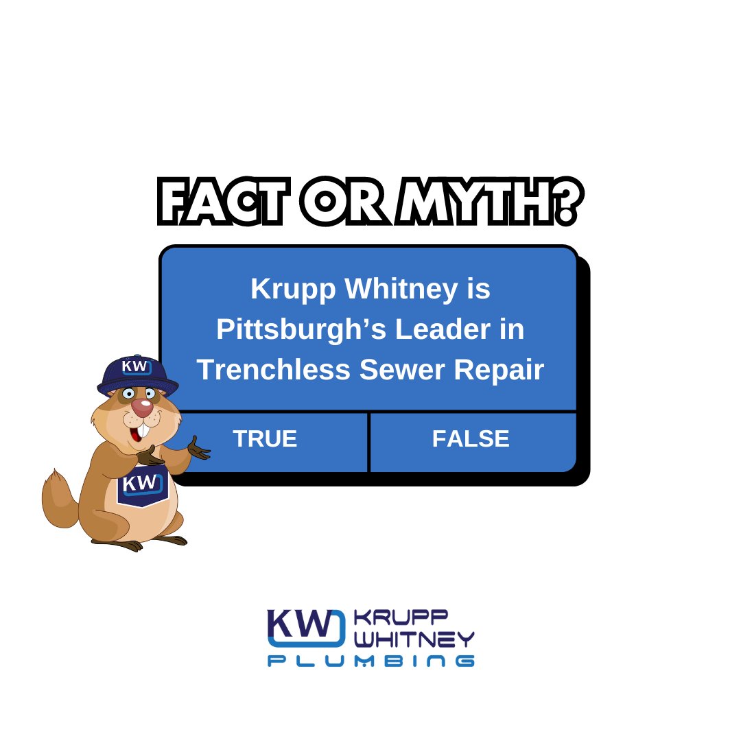 kwplumbinginc's tweet image. 🔍 Fact or Myth? Krupp Whitney is Pittsburgh's leader in trenchless sewer repair. FACT! Trust the experts for a less invasive, more efficient solution. #PlumbingFacts #TrenchlessRepair #KruppWhitneyPlumbing