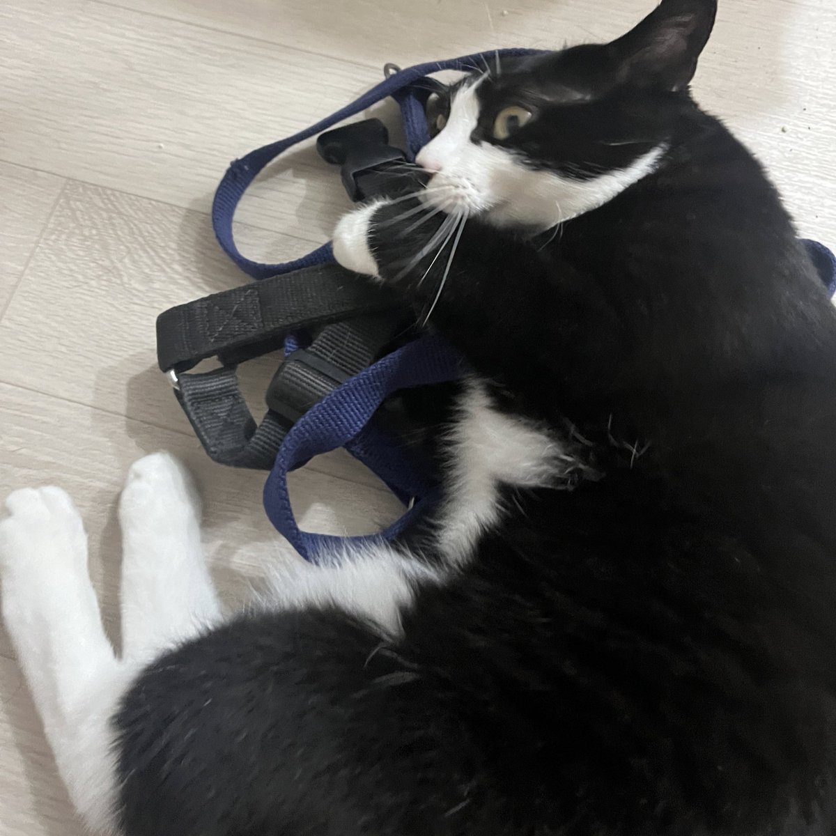 타래 이어볼까... 오늘도...