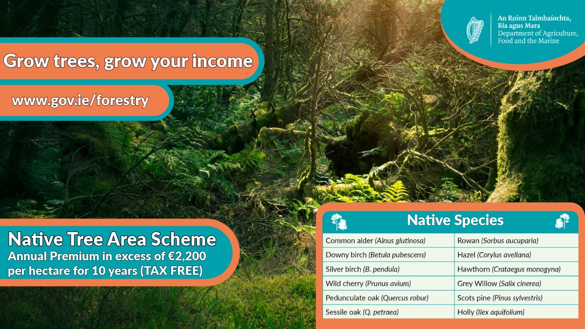 The Native Tree Area (NTA) Scheme provides financial support to encourage small-scale planting of trees without the requirement for an afforestation licence on farmland not previously under forest. There are two options available under this scheme. 

🌳gov.ie/pdf/?file=http…