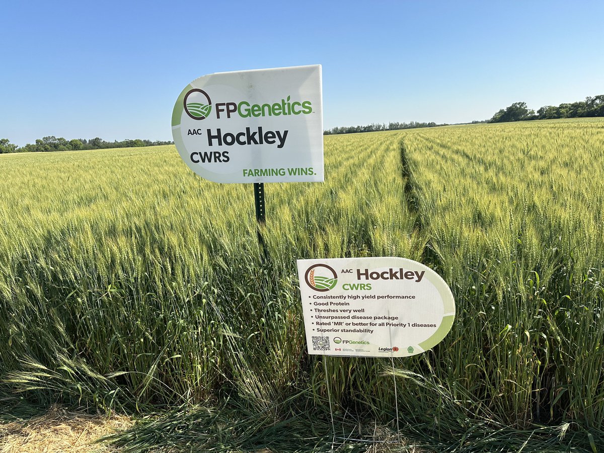 CordonGeisam's tweet photo. Great tour last night @RandyToman with @FPGenetics call Randy for the new Millings Oats #CDCAnson and top performance CWRS https://t.co/kHw7c4mYqt