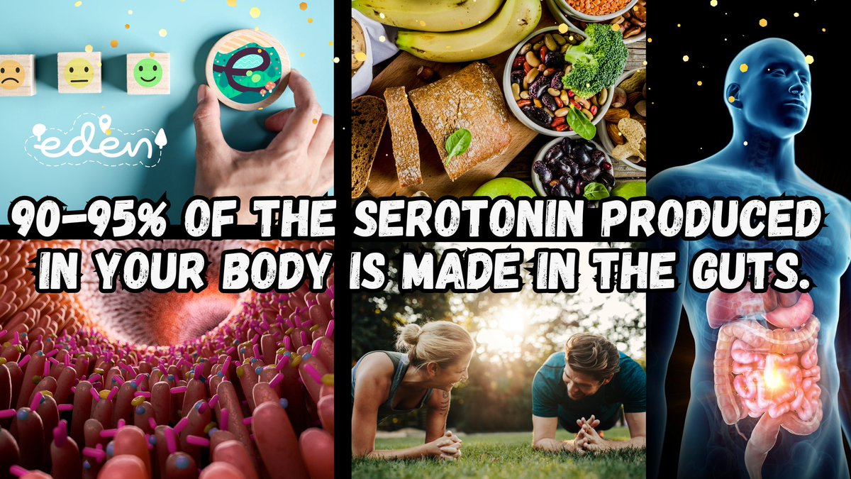 EdenApp_EDN's tweet photo. Shocking news!🤯 About 90-95% of the serotonin produced in the human body is made in the intestines! The remaining serotonin is synthesized in the central nervous system. It regulates mood, sleep, and appetite.🥸

How to naturally increase serotonin levels in the body?

[1/7]🧵 https://t.co/JcEc2RhBek
