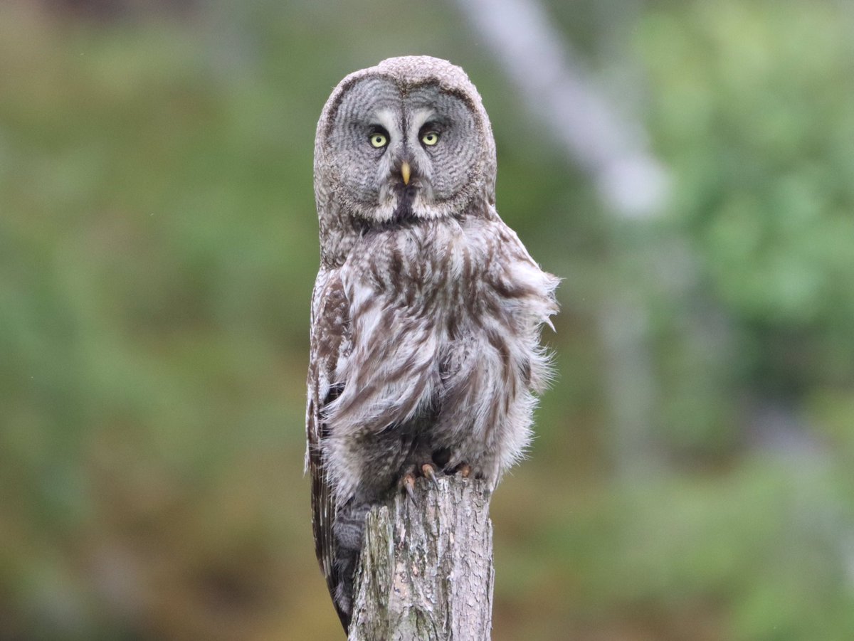 Harry Rice PhD tweet media