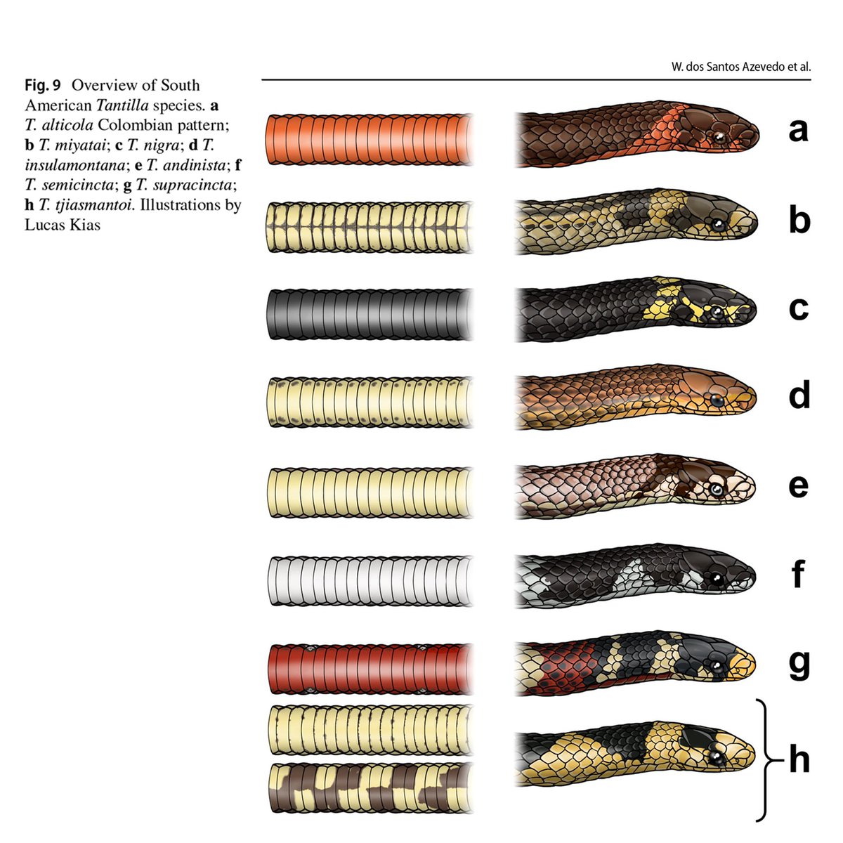 Pessoal! Hoje é meu aniversário 🎂 
Querem me dar um presente?! (SE quiser e puder)
Compartilha esse post para mais pessoas saberem que faço artes para artigos científicos (e afins) 😊