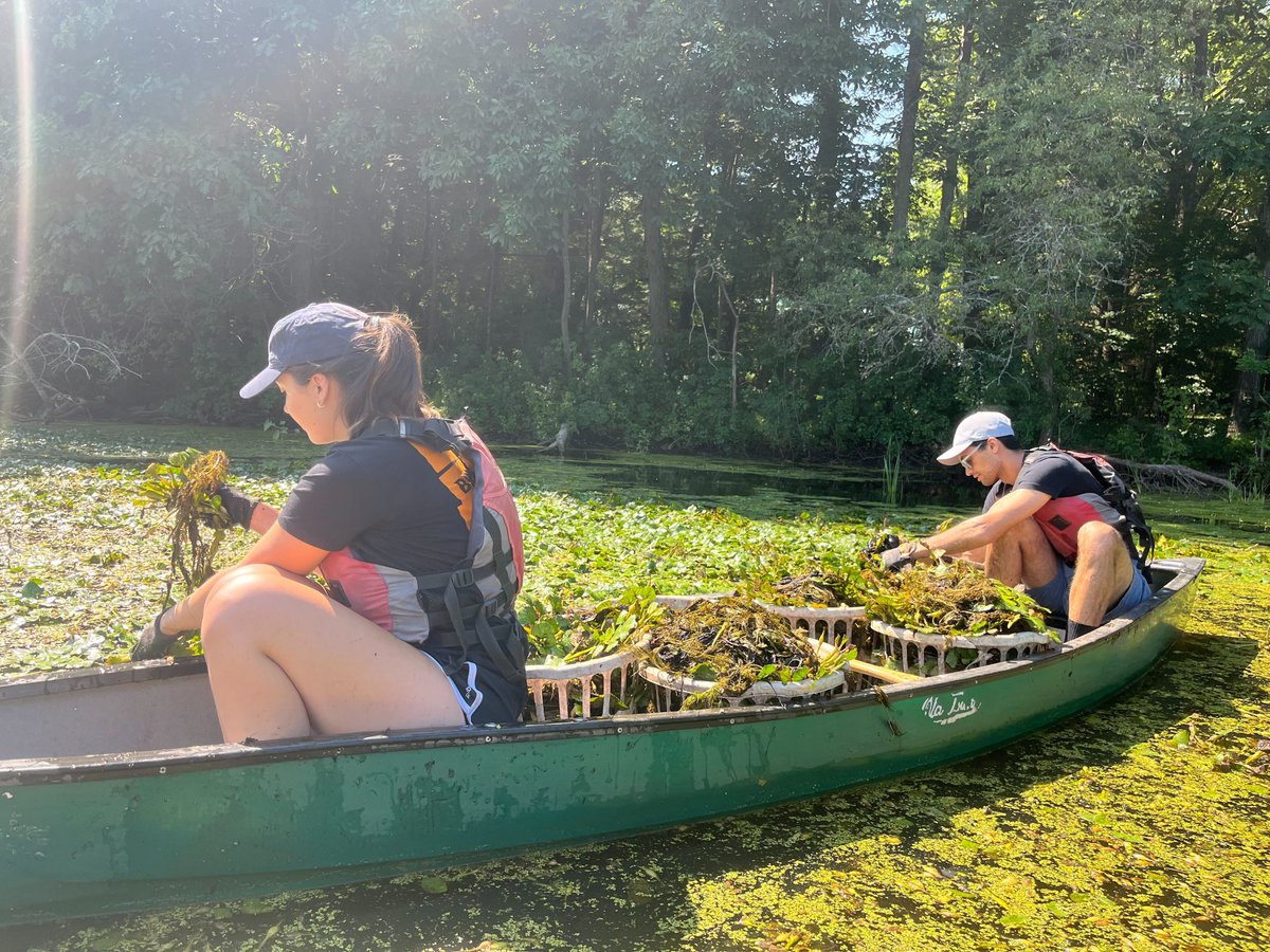 Ten Bridge Communications tweet media