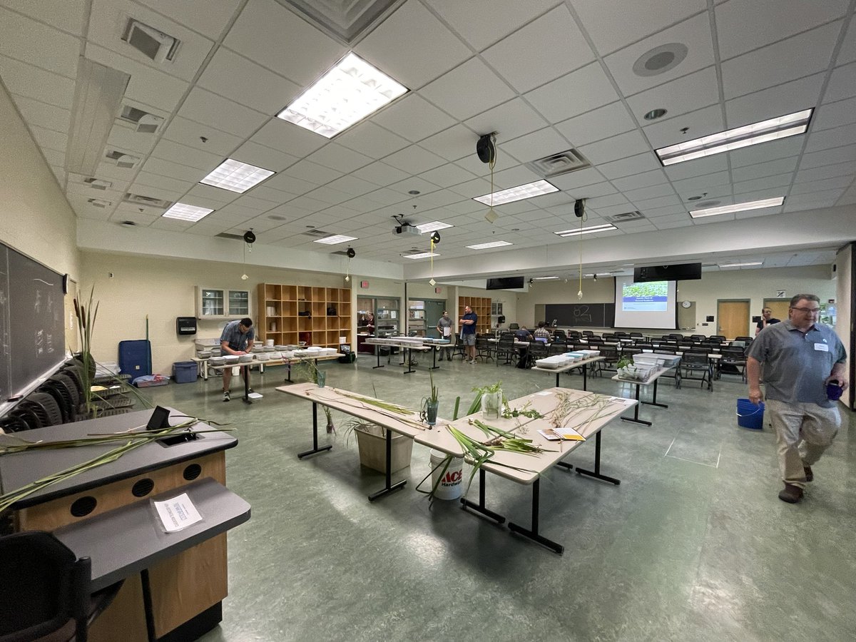 Megan Weber tweet media