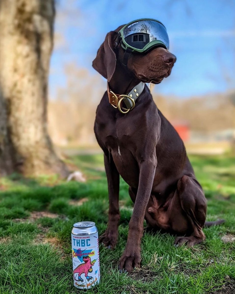 thbcbeer's tweet image. Only need two things in life: 
1)my dog
2)my beer
