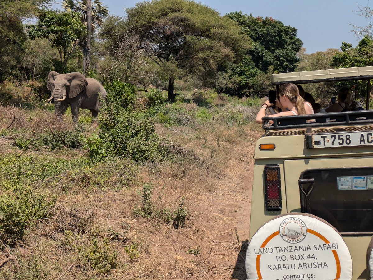 CatPartnerships's tweet photo. Finishing the trip with safari at Lake Manyara today and the Ngoronogro crater tomorrow @Caterham_Head @Caterham_School https://t.co/AzxTYzSQwy