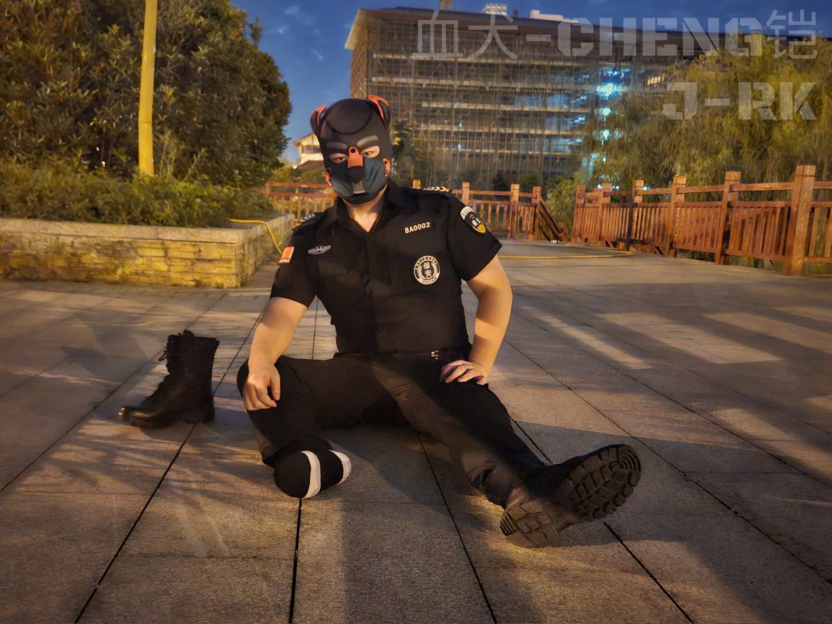 血犬_cheng铠 tweet media