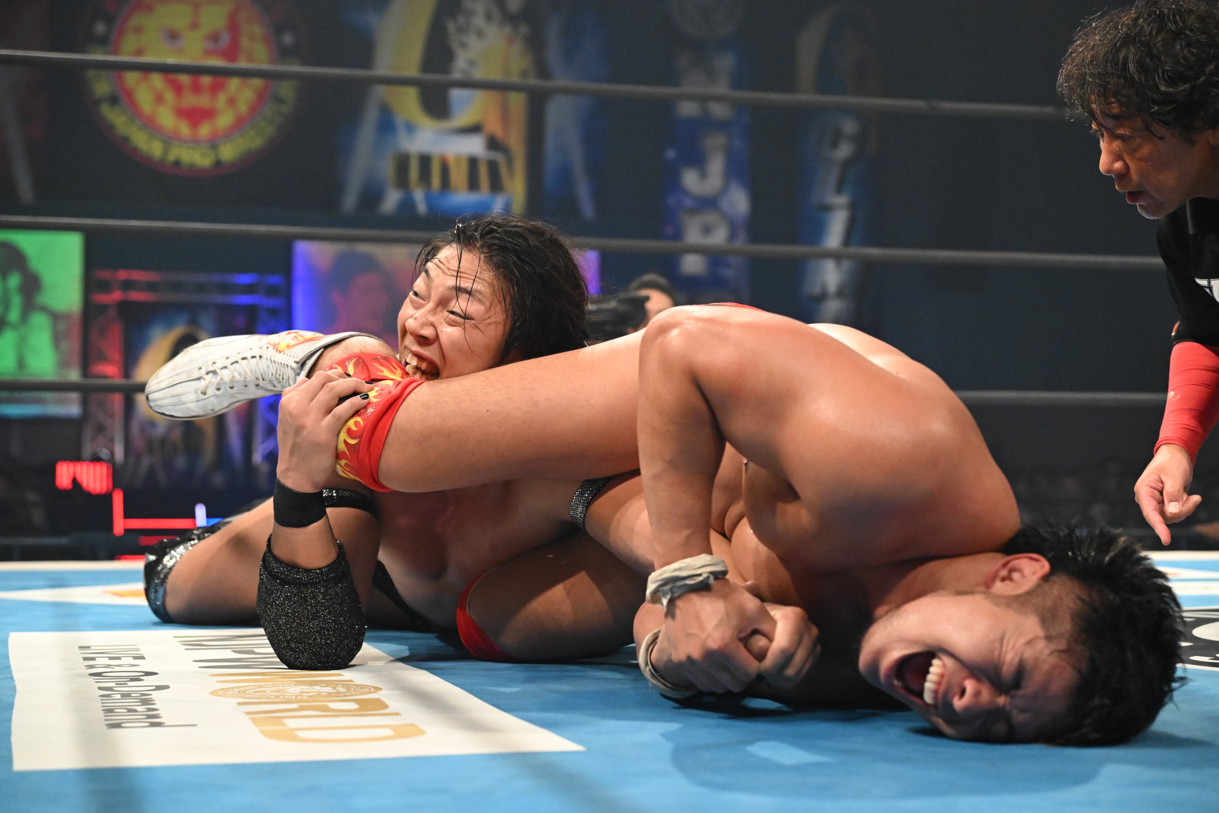 海外プロレス　WWE　PPFM　コラボ　タンクトップ　ステイシー　キーブラー　Ⅿ 海外プロレス WWE PPFM コラボ タンクトップ ステイシー