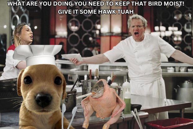 Just Chef'n

Opps sorry Ramsey it looked smoking 😭🚬🍗
$BILLY #GIREUMEE $SCF $HAWK $SHREK $SELFIE $NOMNOM $DMAGA #TRUMP $ROCKY <a href="/GordonRamsay/">Gordon Ramsay</a> <a href="/Haileywelch_23/">Hailey</a>