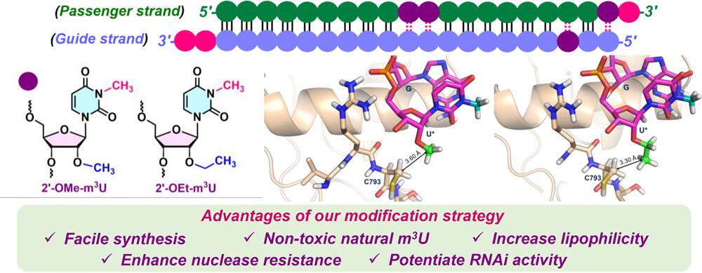 The Morpholino Group (@morpholinolab) on Twitter photo Publication alert!! Our latest collaboration with <a href="/IITKgp/">IIT Kharagpur🇮🇳</a>
is out in ACS Med Chem Lett. pubs.acs.org/doi/10.1021/ac……
Congratulations to the team!! Publication alert!! Our latest collaboration with <a href="/IITKgp/">IIT Kharagpur🇮🇳</a>
is out in ACS Med Chem Lett. pubs.acs.org/doi/10.1021/ac……
Congratulations to the team!!