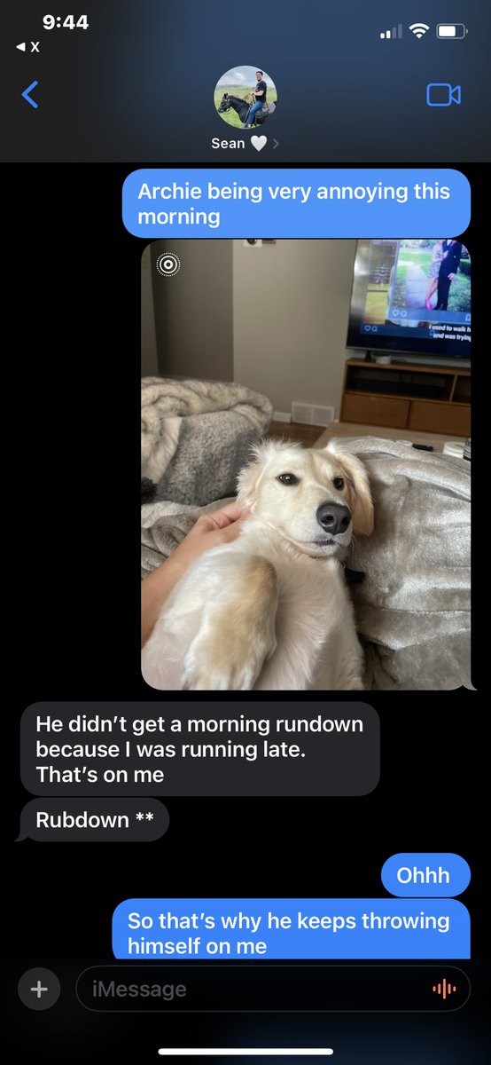 .<a href="/SCFirlotte/">Sean Firlotte</a> why is the dog being so needy today😂