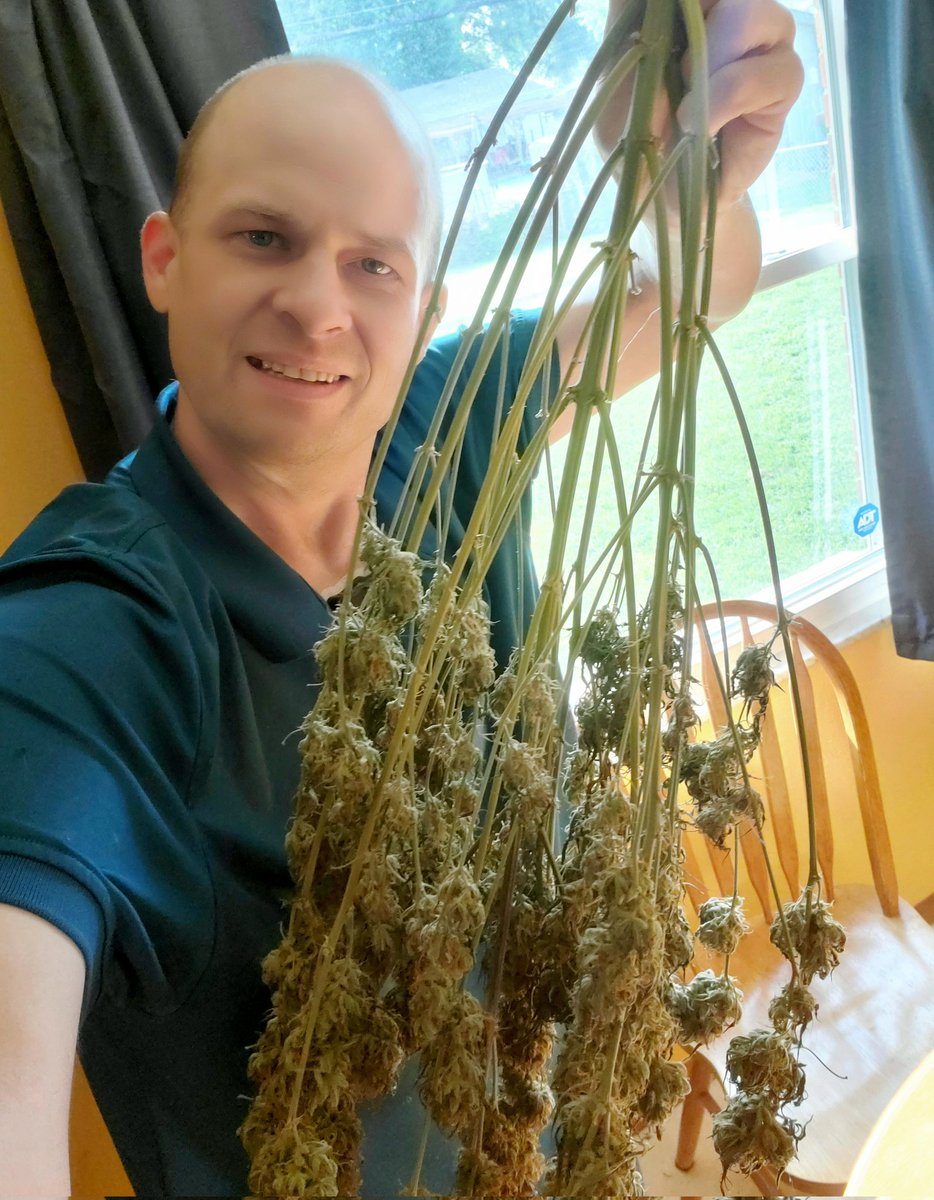 Medical Grower 420 🇺🇸 tweet media