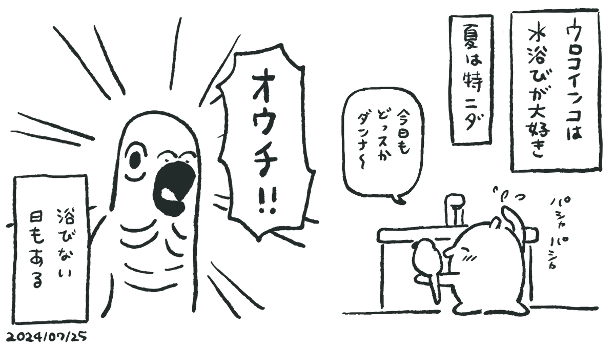 ケージに帰りたいとき「オウチ!!」って言うようになった 