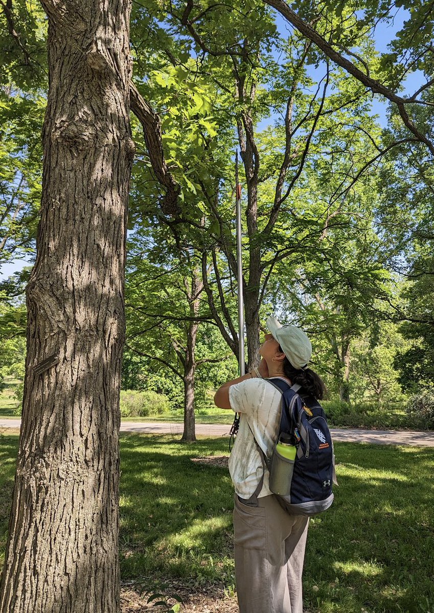 Sean Hoban tweet media