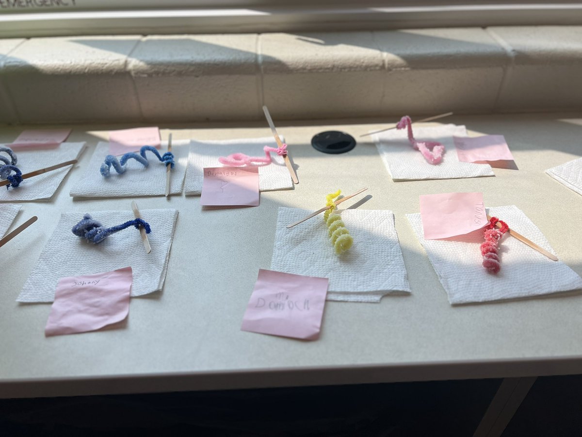 mrsuvick's tweet photo. Borax crystals were a success!  @SLCSJumpStart https://t.co/wmwQ9dUu9r